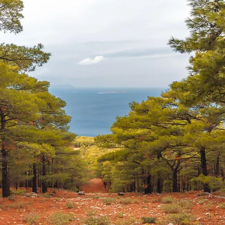 Limeri Traditional Monolithos (Rhodes)
