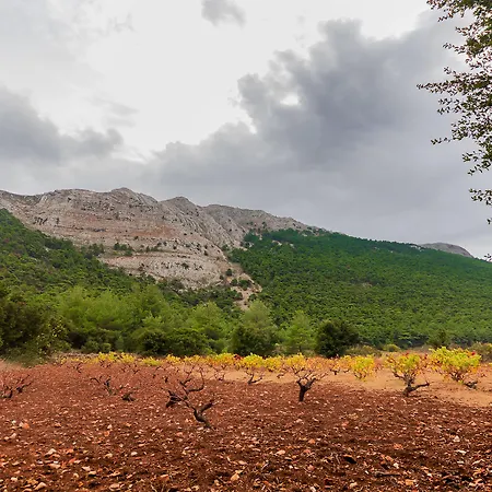 Limeri Traditional Monolithos (Rhodes)