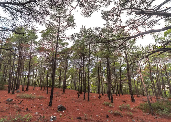 Limeri Traditional Locanda