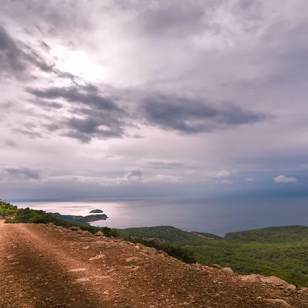 Herberg Limeri Traditional