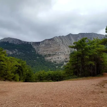 Herberg Limeri Traditional