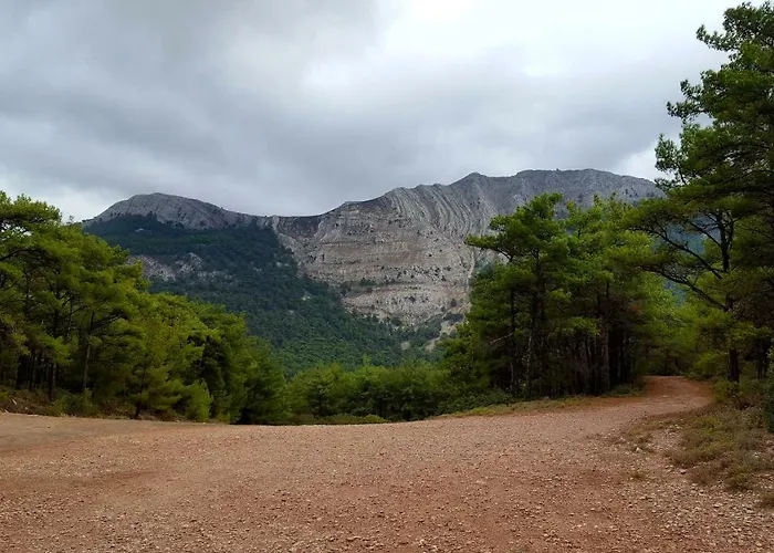 אורחן Limeri Traditional