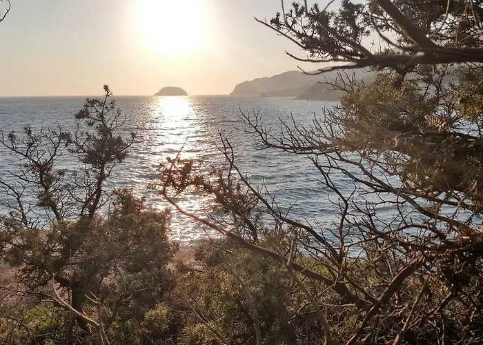 אורחן Limeri Traditional 3*